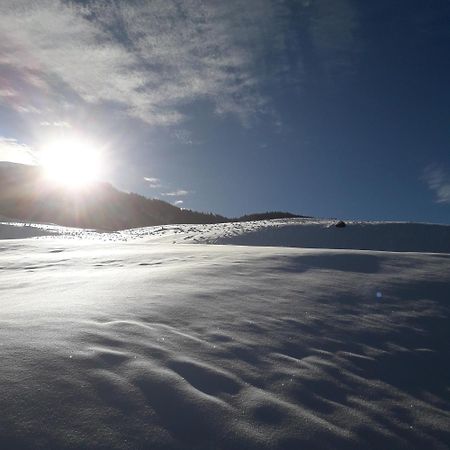 Ferienhaus Hochwimmer Hollersbach im Pinzgau Esterno foto