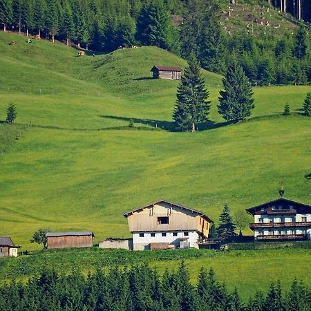 Appartamento Ferienhaus Hochwimmer Hollersbach im Pinzgau Esterno foto