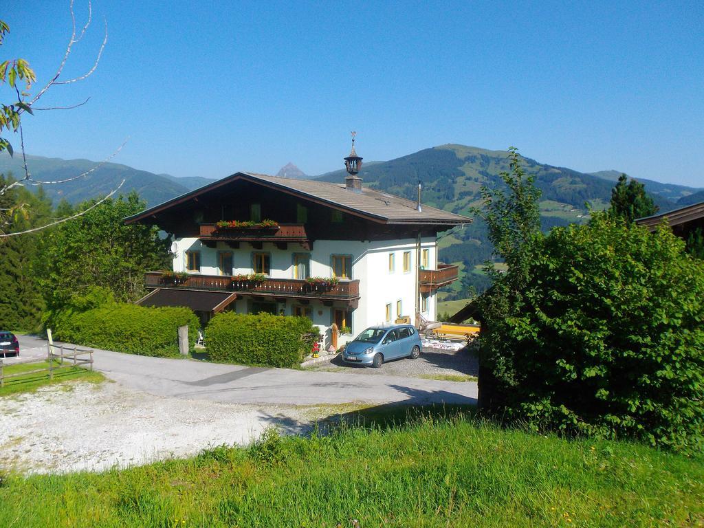 Appartamento Ferienhaus Hochwimmer Hollersbach im Pinzgau Esterno foto