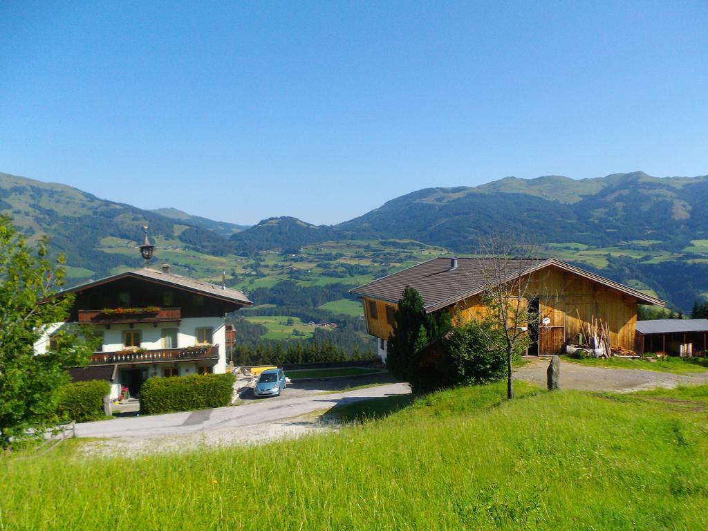 Appartamento Ferienhaus Hochwimmer Hollersbach im Pinzgau Esterno foto