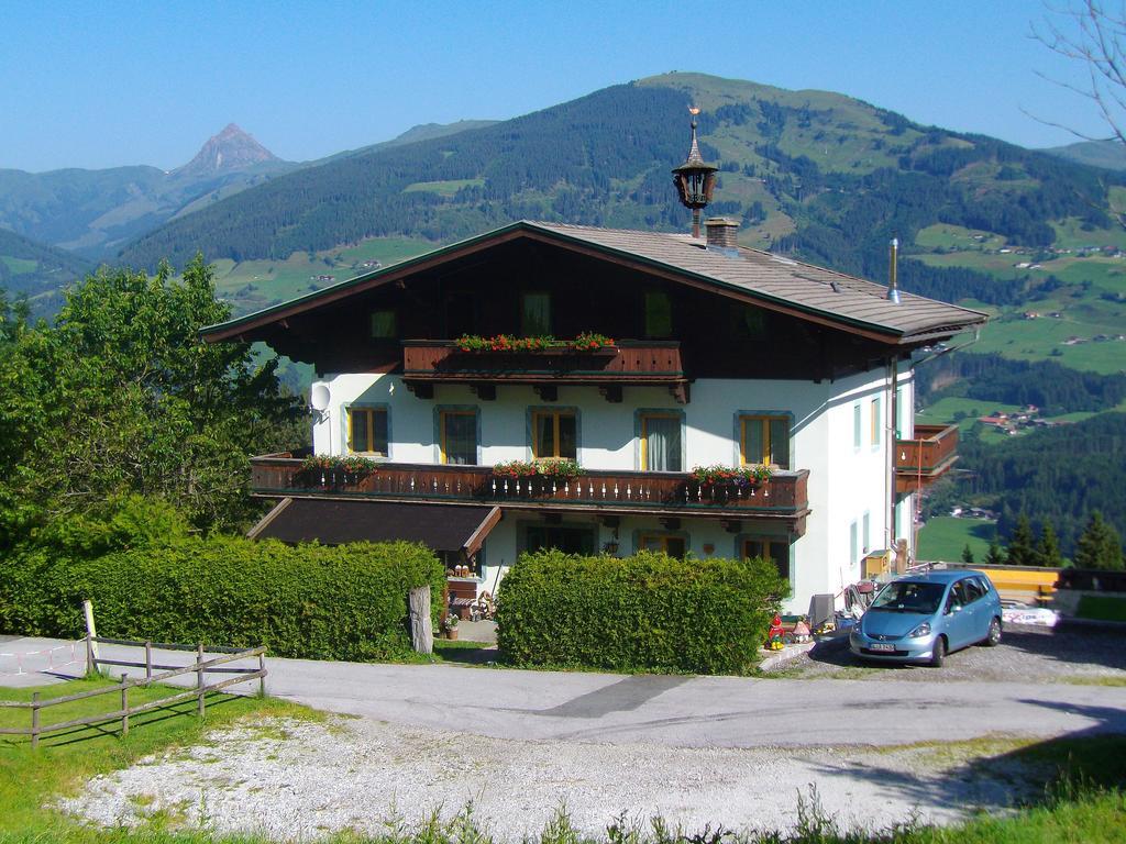 Appartamento Ferienhaus Hochwimmer Hollersbach im Pinzgau Esterno foto