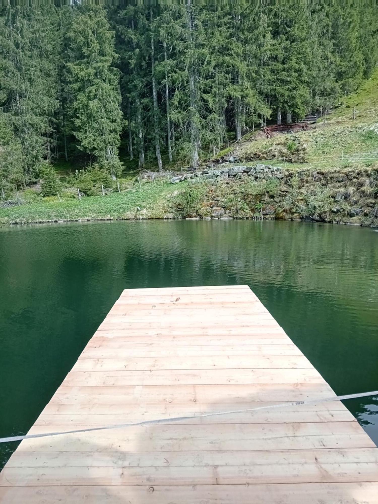 Ferienhaus Hochwimmer Hollersbach im Pinzgau Esterno foto
