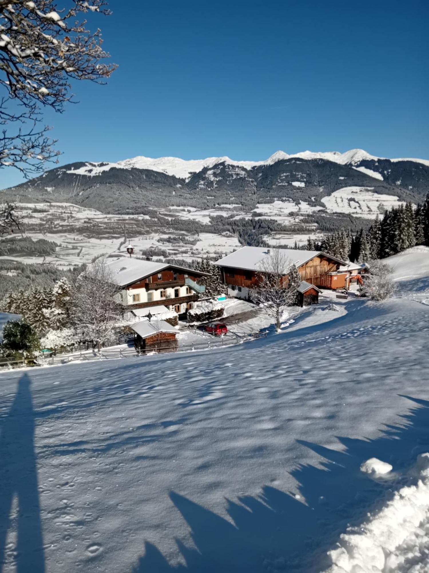 Ferienhaus Hochwimmer Hollersbach im Pinzgau Esterno foto
