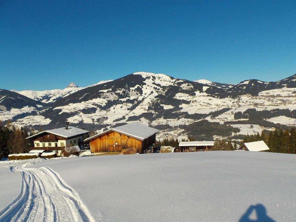 Appartamento Ferienhaus Hochwimmer Hollersbach im Pinzgau Esterno foto