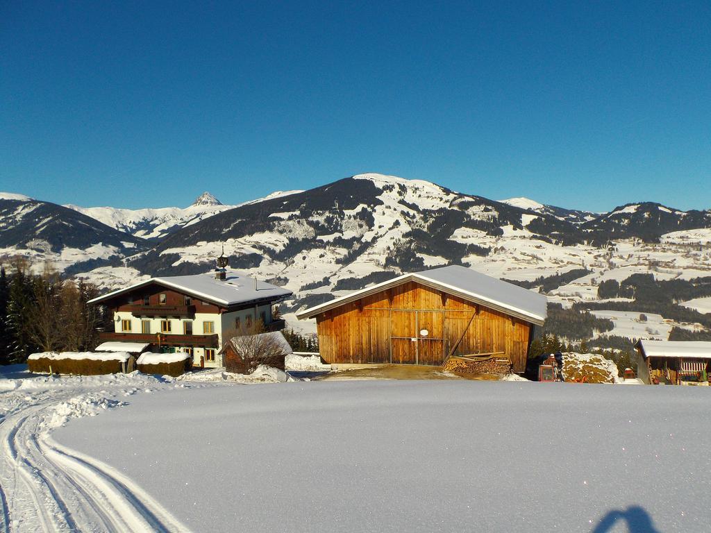 Appartamento Ferienhaus Hochwimmer Hollersbach im Pinzgau Esterno foto