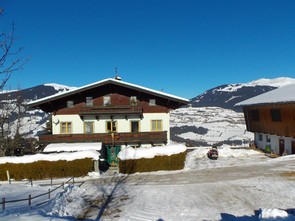 Appartamento Ferienhaus Hochwimmer Hollersbach im Pinzgau Esterno foto