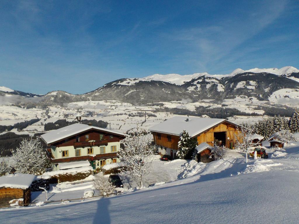 Appartamento Ferienhaus Hochwimmer Hollersbach im Pinzgau Esterno foto