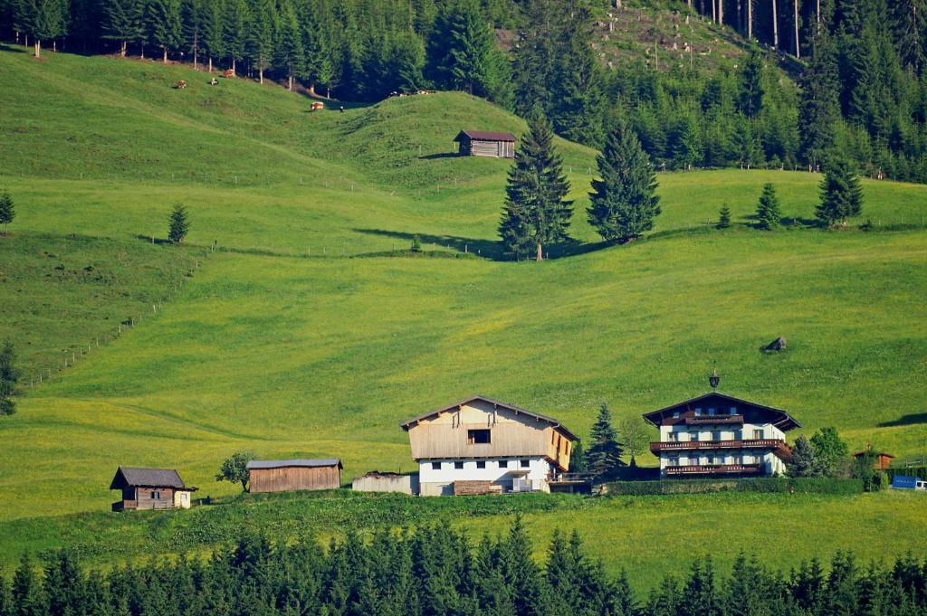 Appartamento Ferienhaus Hochwimmer Hollersbach im Pinzgau Esterno foto