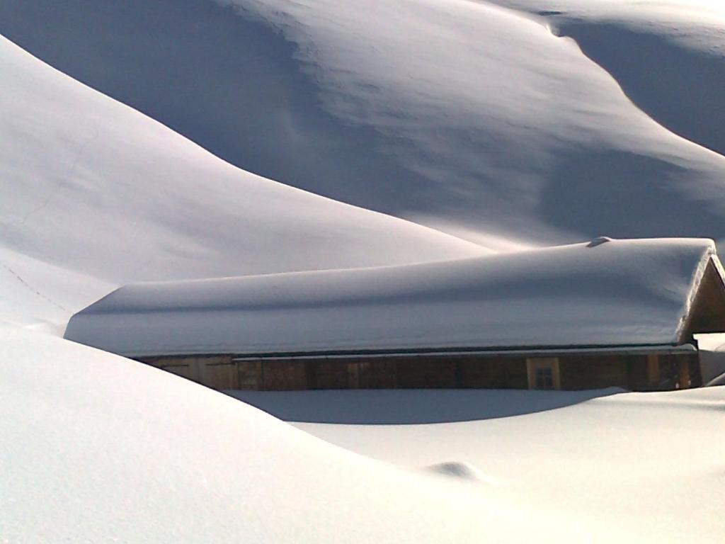 Appartamento Ferienhaus Hochwimmer Hollersbach im Pinzgau Esterno foto